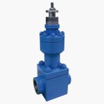 Bellows Seal Type Globe Valve